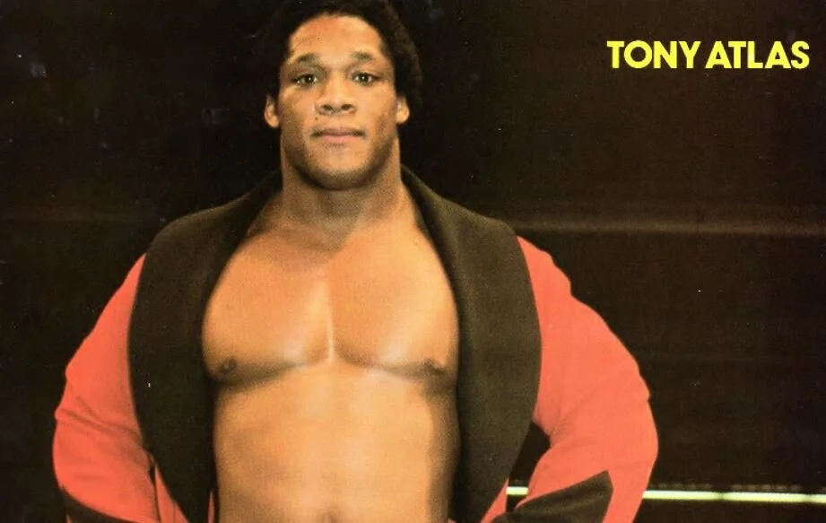 History of Pro Wrestling in 1981 - The Ultimate History of Pro